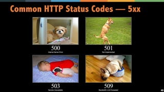 40
Common HTTP Status Codes — 5xx
 