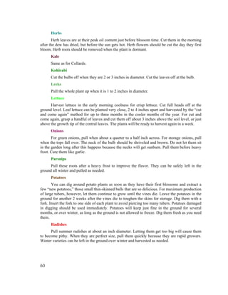 Herbs
       Herb leaves are at their peak oil content just before blossom time. Cut them in the morning
after the dew has dried, but before the sun gets hot. Herb flowers should be cut the day they first
bloom. Herb roots should be removed when the plant is dormant.
      Kale
      Same as for Collards.
      Kohlrabi
      Cut the bulbs off when they are 2 or 3 inches in diameter. Cut the leaves off at the bulb.
      Leeks
      Pull the whole plant up when it is 1 to 2 inches in diameter.
      Lettuce
      Harvest lettuce in the early morning coolness for crisp lettuce. Cut full heads off at the
ground level. Leaf lettuce can be planted very close, 2 to 4 inches apart and harvested by the “cut
and come again” method for up to three months in the cooler months of the year. For cut and
come again, grasp a handful of leaves and cut them off about 3 inches above the soil level, or just
above the growth tip of the central leaves. The plants will be ready to harvest again in a week.
      Onions
       For green onions, pull when about a quarter to a half inch across. For storage onions, pull
when the tops fall over. The neck of the bulb should be shriveled and brown. Do not let them sit
in the garden long after this happens because the necks will get sunburn. Pull them before heavy
frost. Cure them like garlic.
      Parsnips
      Pull these roots after a heavy frost to improve the flavor. They can be safely left in the
ground all winter and pulled as needed.
      Potatoes
       You can dig around potato plants as soon as they have their first blossoms and extract a
few “new potatoes,” those small thin-skinned balls that are so delicious. For maximum production
of large tubers, however, let them continue to grow until the vines die. Leave the potatoes in the
ground for another 2 weeks after the vines die to toughen the skins for storage. Dig them with a
fork. Insert the fork to one side of each plant to avoid piercing too many tubers. Potatoes damaged
in digging should be used immediately. Potatoes will keep just fine in the ground for several
months, or over winter, as long as the ground is not allowed to freeze. Dig them fresh as you need
them.
      Radishes
      Pull summer radishes at about an inch diameter. Letting them get too big will cause them
to become pithy. When they are perfect size, pull them quickly because they are rapid growers.
Winter varieties can be left in the ground over winter and harvested as needed.




60
 