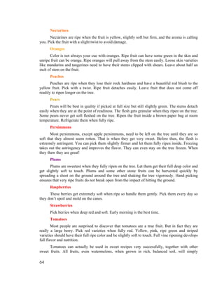 Nectarines
      Nectarines are ripe when the fruit is yellow, slightly soft but firm, and the aroma is calling
you. Pick the fruit with a slight twist to avoid damage.
      Oranges
      Color is not always your cue with oranges. Ripe fruit can have some green in the skin and
unripe fruit can be orange. Ripe oranges will pull away from the stem easily. Loose skin varieties
like mandarins and tangerines need to have their stems clipped with shears. Leave about half an
inch of stem on the fruit.
      Peaches
       Peaches are ripe when they lose their rock hardness and have a beautiful red blush to the
yellow fruit. Pick with a twist. Ripe fruit detaches easily. Leave fruit that does not come off
readily to ripen longer on the tree.
      Pears
       Pears will be best in quality if picked at full size but still slightly green. The stems detach
easily when they are at the point of readiness. The flesh gets granular when they ripen on the tree.
Some pears never get soft fleshed on the tree. Ripen the fruit inside a brown paper bag at room
temperature. Refrigerate them when fully ripe.
      Persimmons
       Most persimmons, except apple persimmons, need to be left on the tree until they are so
soft that they almost seem rotten. That is when they get very sweet. Before then, the flesh is
extremely astringent. You can pick them slightly firmer and let them fully ripen inside. Freezing
takes out the astringency and improves the flavor. They can even stay on the tree frozen. When
they thaw they are great!
      Plums
       Plums are sweetest when they fully ripen on the tree. Let them get their full deep color and
get slightly soft to touch. Plums and some other stone fruits can be harvested quickly by
spreading a sheet on the ground around the tree and shaking the tree vigorously. Hand picking
ensures that very ripe fruits do not break open from the impact of hitting the ground.
      Raspberries
      These berries get extremely soft when ripe so handle them gently. Pick them every day so
they don’t spoil and mold on the canes.
      Strawberries
      Pick berries when deep red and soft. Early morning is the best time.
      Tomatoes
        Most people are surprised to discover that tomatoes are a true fruit. But in fact they are
really a large berry. Pick red varieties when fully red. Yellow, pink, ripe green and striped
varieties should have their full ripe color and be slightly soft to touch. Full vine ripening develops
full flavor and nutrition.
      Tomatoes can actually be used in sweet recipes very successfully, together with other
sweet fruits. All fruits, even watermelons, when grown in rich, balanced soil, will simply

64
 