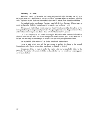 Stretching The Limits
       Sometimes, nature can be coaxed into giving you just a little more. Let’s say you live in an
early frost area and it’s difficult for you to ripen your tomatoes before the vines are killed by
frost. The limits of your frost-free season can be stretched by several frost- protection methods.
      One method is mini-greenhouses. These are great little devices. There are different ways to
construct them, but the following technique is inexpensive and works very well.
       All you do, to start with, is pound some four foot, 5/8 inch rebar stakes three, four or five
feet apart all along the long sides of your beds. The spacing depends upon the possible snow load
and wind conditions in your area. Leave about a foot of the rebar above ground.
      Cut ¾ inch schedule 40 PVC to ten-foot lengths. Anchor the PVC rib to a rebar stake on
one side of the bed and bend it in an arc until you can anchor it to the stake on the other side of
the bed. Do this along the entire length of the bed. Now you have your greenhouse frame.
      The next step is to cut a piece of UV treated greenhouse plastic to size.
    Leave at least a foot extra all the way around to anchor the plastic to the ground.
Remember to allow for the height of the greenhouse on the ends of the bed.
       You can use bricks or rocks to anchor the plastic after you have pulled it tight over the
PVC ribs. The plastic will have to be folded on the ends the way you would fold wrapping paper
on the ends of a box.




66
 