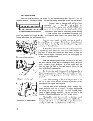 The Digging Process
     To begin construction of a 100 square foot bed, measure out a bed 4 feet by 25 feet and
pound permanent 2 foot stakes at least 1 foot into the ground just outside each of the four corners.
                                                   You may want to start out with half-sized beds
                                            measuring 4 by 12 feet. They are a little less
                                            intimidating. Three-quarter inch, schedule 40 PVC pipe,
                                            cut in two foot lengths, is my favorite choice for stakes.
    A bed marked with stakes and string      Rebar stakes work better in very stony ground. Putting
                                             PVC pipe over the rebar stakes looks nicer and is safer
too if you happen to trip over a stake. String garden twine between the stakes along the two
longest sides of the bed as illustrated above.
                                         If the soil is dry, soak it well with water and let it soak in
                                   for several hours or overnight. The soil must be evenly moist
                                   two feet deep or else the dig could be difficult to impossible,
                                   depending on the soil texture.
                                            If the soaking leaves the soil too wet, let it dry again until
                                   it is just nicely moist but not wet to the touch. In hot weather you
                                   may need to cover the watered area with plastic to keep the
                                   surface from drying out completely before you start digging and
Skimming surface vegetation         in between digging sessions.

                                          Next, use a sharp square digging spade to skim any grass
                                   and weed material off the surface (the English made, or similar
                                   quality, tools are best). Hold the cob of the handle with one
                                   hand and grasp the shaft of the spade near the blade with the
                                   other hand (thumb towards you).
                                          By thrusting the spade forward, with the blade parallel to
                                   the ground, you can now slice off grass and weeds just below
                                   the soil surface very quickly and smoothly. (It takes a little
                                    practice!)
 Edging the bed at an angle
                                         Now, while standing to the inside of your marked out
                                   bed, cut an edge around the bed as deeply as possible with the
                                   spade angled out slightly into the paths.
                                          The next step is very important. Using a digging fork,
                                   loosen the entire top 1 foot of the bed. You do not need to pick
                                   the soil up and turn it with the fork. Just push the fork tines a
                                   couple of inches into the ground by placing your foot on the
                                   shoulder of the tool and leaning your body weight onto it.
                                         Then pull the handle down towards you. Continue to pull
                                   the handle down past your right side if you are right handed or
  Loosening the soil with a fork   past your left side if you are left handed to get the maximum
                                   leverage possible. This way the tool does all the work.


70
 