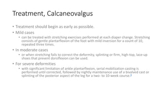 Treatment, Calcaneovalgus
• Treatment should begin as early as possible.
• Mild cases
• can be treated with stretching exercises performed at each diaper change. Stretching
consists of gentle plantarflexion of the foot with mild inversion for a count of 10,
repeated three times.
• In moderate cases
• or when stretching fails to correct the deformity, splinting or firm, high-top, lace-up
shoes that prevent dorsiflexion can be used.
• For severe deformities
• with significant limitation of ankle plantarflexion, serial mobilization casting is
performed until corrected, followed by nightly maintenance use of a bivalved cast or
splinting of the posterior aspect of the leg for a two- to 10-week course.3
 