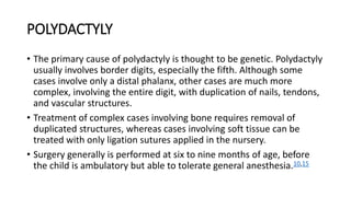 POLYDACTYLY
• The primary cause of polydactyly is thought to be genetic. Polydactyly
usually involves border digits, especially the fifth. Although some
cases involve only a distal phalanx, other cases are much more
complex, involving the entire digit, with duplication of nails, tendons,
and vascular structures.
• Treatment of complex cases involving bone requires removal of
duplicated structures, whereas cases involving soft tissue can be
treated with only ligation sutures applied in the nursery.
• Surgery generally is performed at six to nine months of age, before
the child is ambulatory but able to tolerate general anesthesia.10,15
 