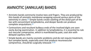 AMNIOTIC (ANNULAR) BANDS
• Amniotic bands commonly involve toes and fingers. They are produced by
thin bands of amniotic membrane wrapping around various parts of the
extremity in utero.15 Simple bands create swelling of the distal part of the
toe with concomitant lymphedema, and deeper bands can produce
complete amputations.17
• Contractions and resultant bulbous ends of the involved digits are seen
easily during examination. In addition to lymphedema, it is essential to rule
out vascular compromise, which is manifested by pale, cool skin with
delayed capillary refill.
• Simple bands are mainly cosmetic problems and do not require treatment,
but complex bands, especially ones that produce neurovascular
compromise, should be surgically released.17,18
 