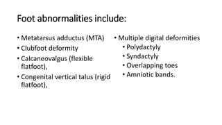 Foot abnormalities include:
• Metatarsus adductus (MTA)
• Clubfoot deformity
• Calcaneovalgus (flexible
flatfoot),
• Congenital vertical talus (rigid
flatfoot),
• Multiple digital deformities
• Polydactyly
• Syndactyly
• Overlapping toes
• Amniotic bands.
 