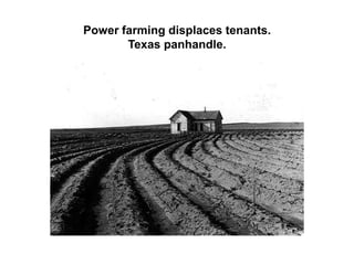 Migrant pea pickers camp in the rain. California.