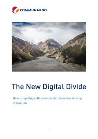 The new digital divide