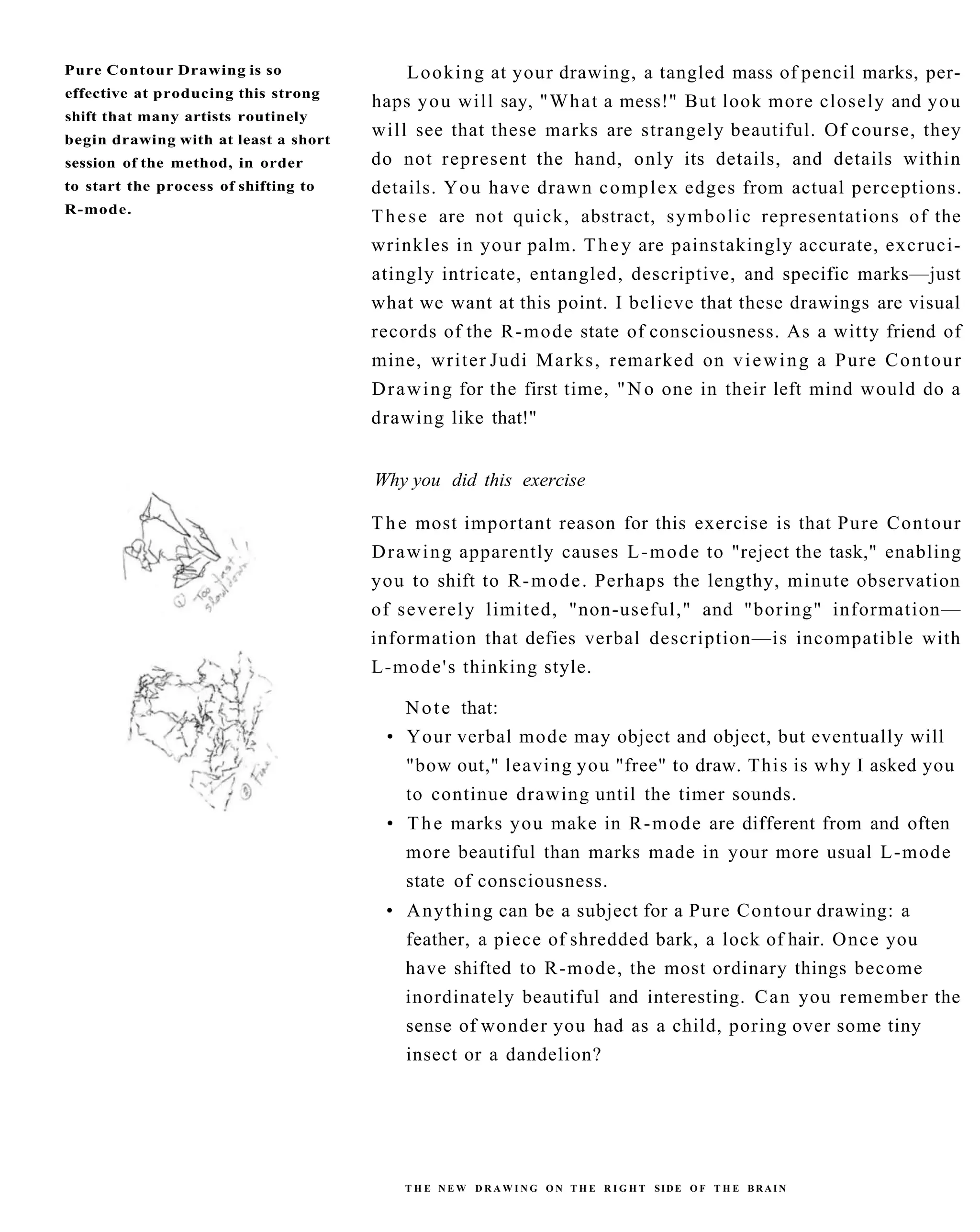 The New Drawing On The Right Side Of The Brain