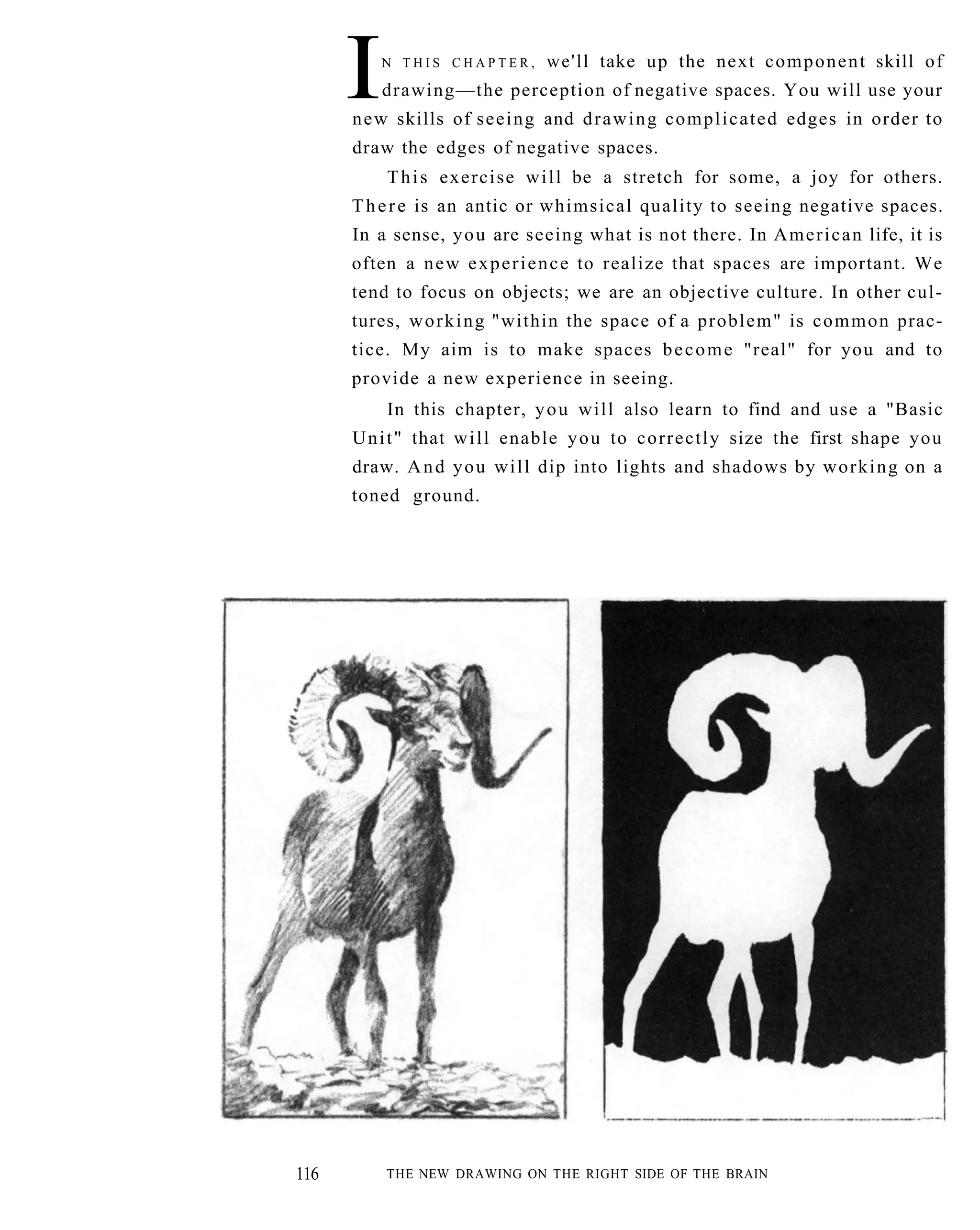 The New Drawing On The Right Side Of The Brain