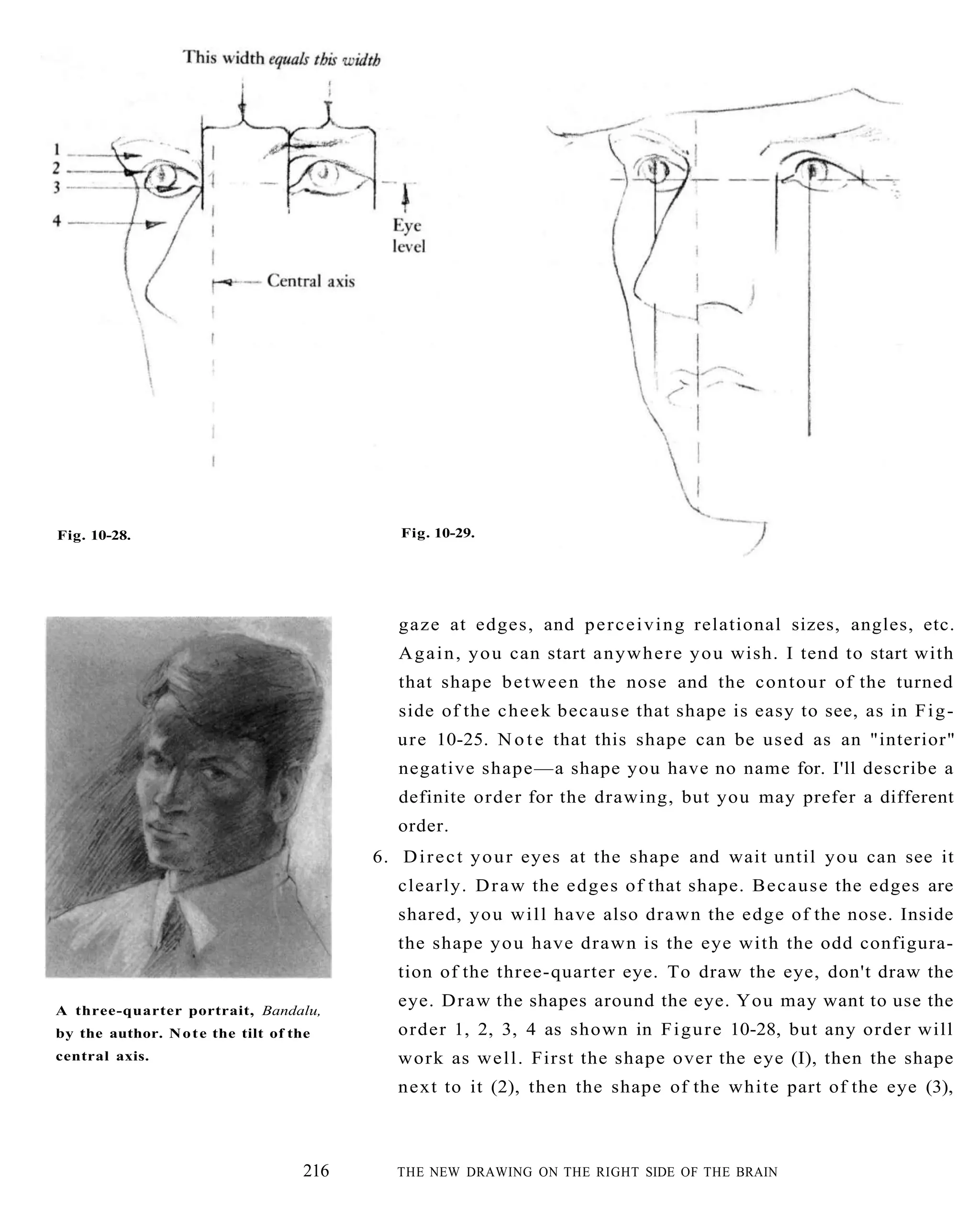 The New Drawing On The Right Side Of The Brain