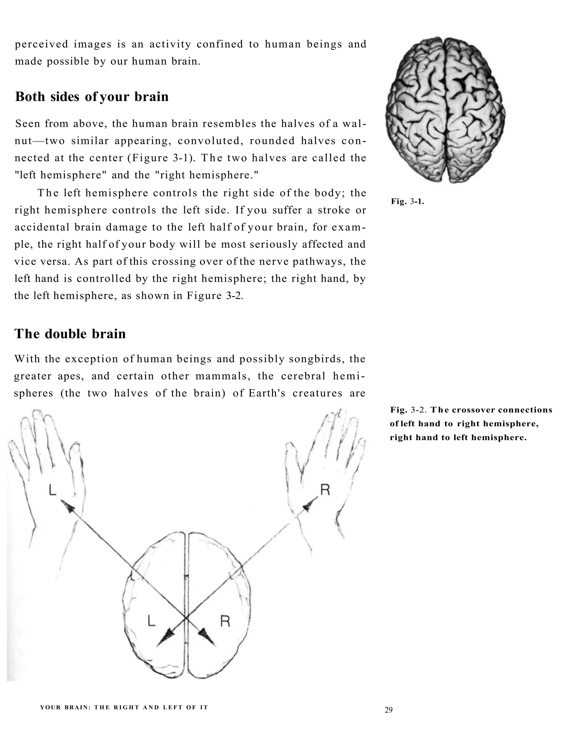 The New Drawing On The Right Side Of The Brain