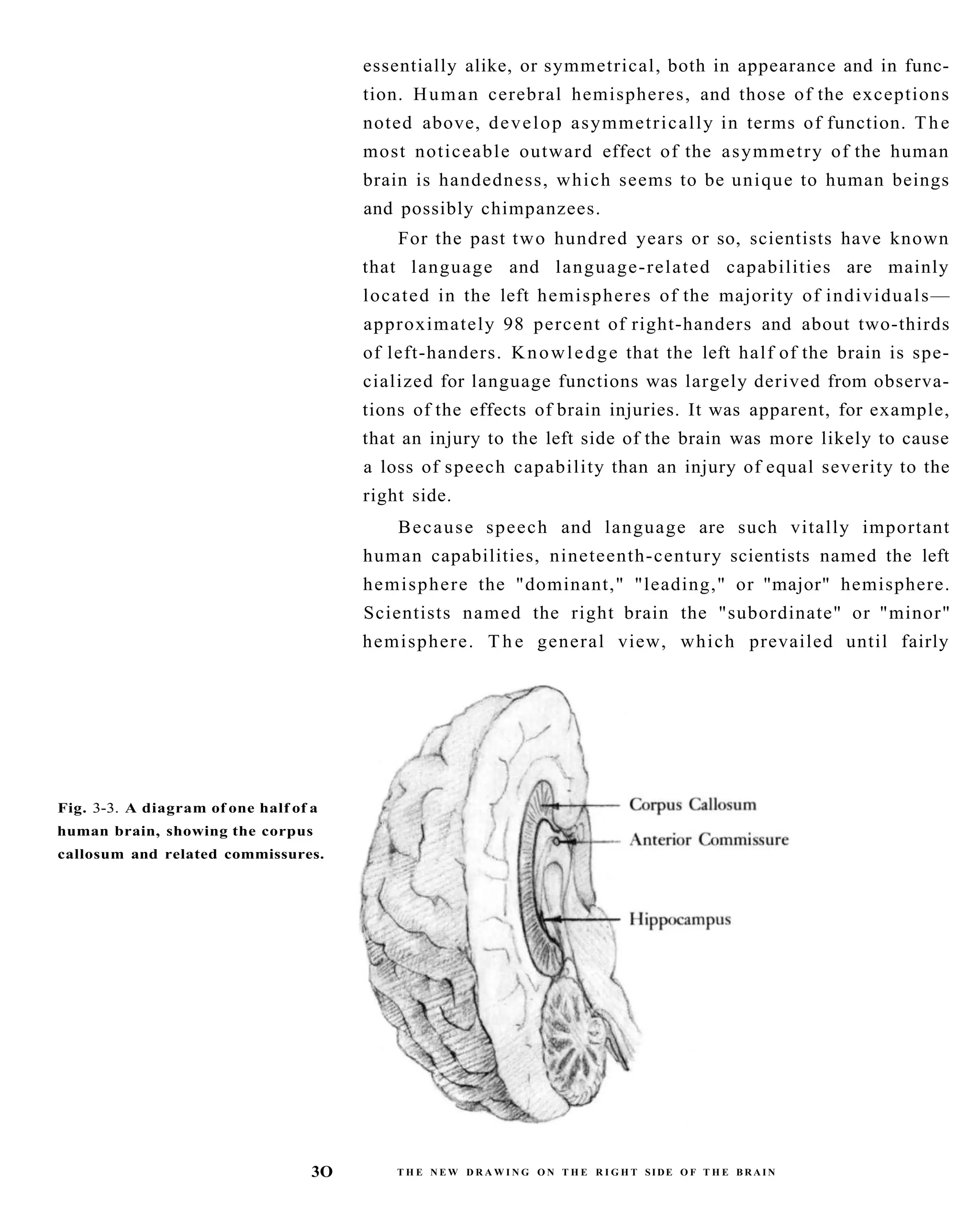 The New Drawing On The Right Side Of The Brain