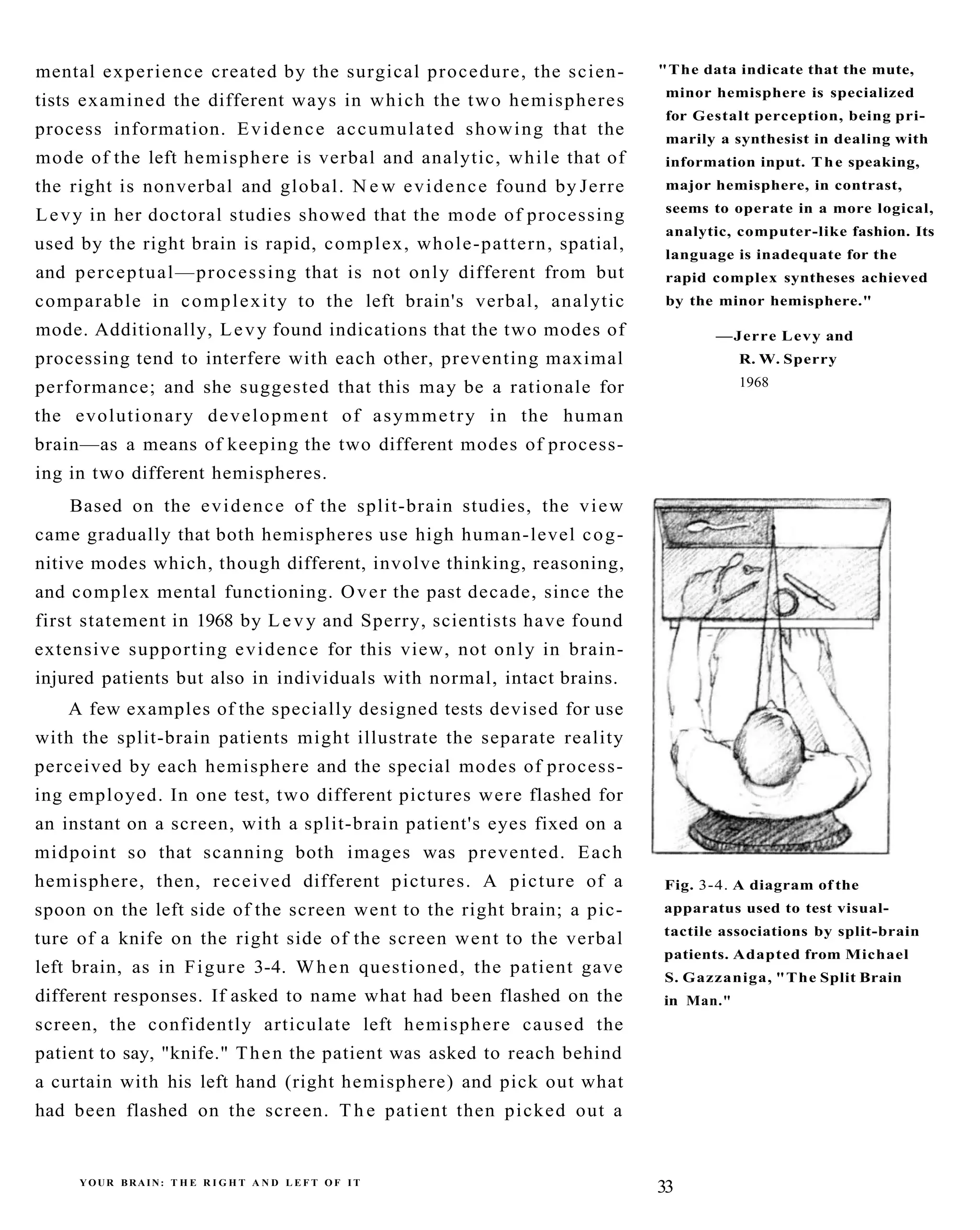 The New Drawing On The Right Side Of The Brain