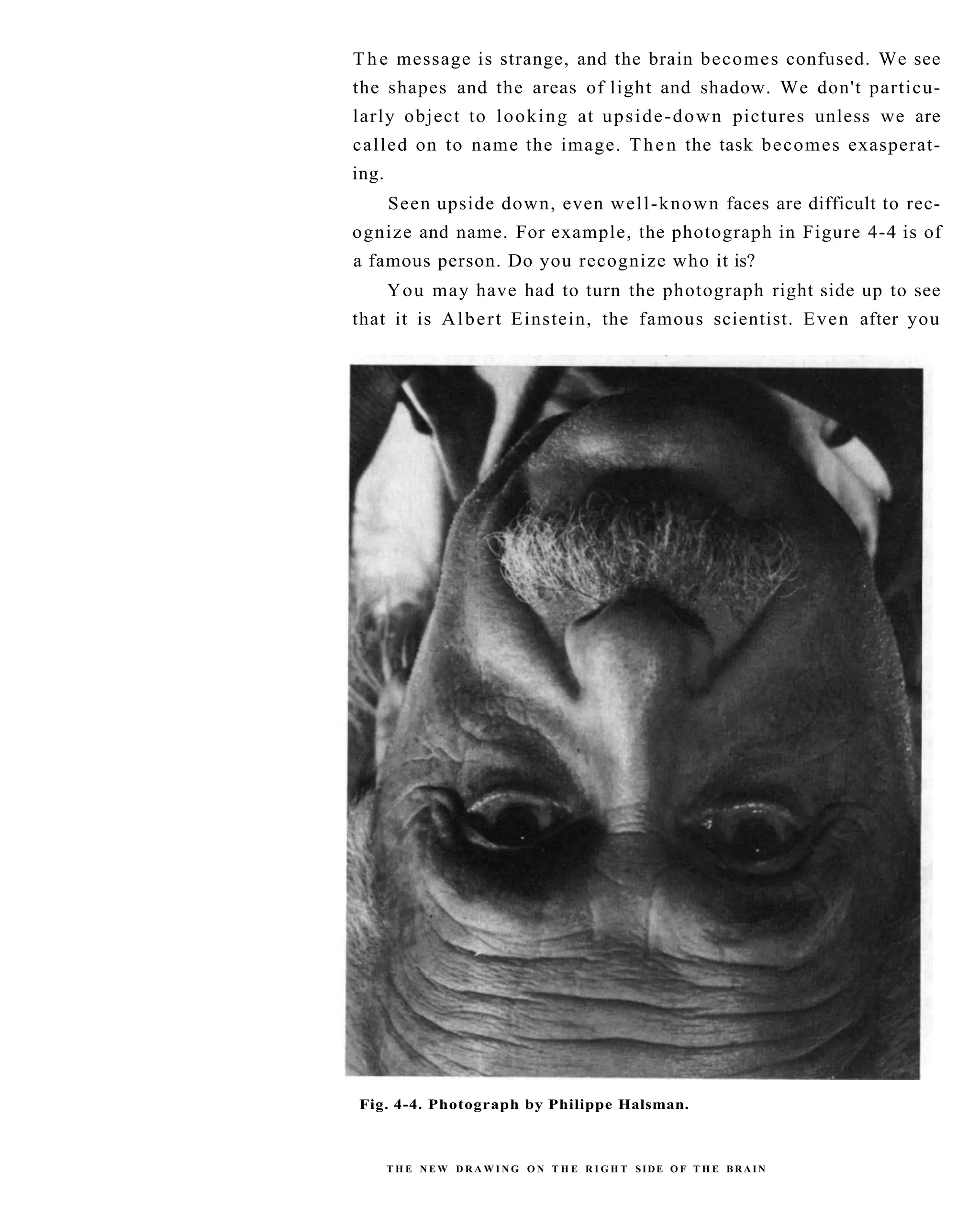 The New Drawing On The Right Side Of The Brain