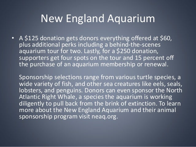 diversity programs and the new england aquarium The new england aquarium is a fun and engaging experience for your class, and can help reinforce classroom lessons with real, hands-on learning explore the aquarium as a group and dive into the diversity of marine habitats from around the world. diversity programs and the new england aquarium The new england aquarium is a fun and engaging experience for your class, and can help reinforce classroom lessons with real, hands-on learning explore the aquarium as a group and dive into the diversity of marine habitats from around the world.