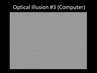 Optical Illusion #3 (Computer)
 