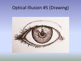 Optical Illusion #5 (Drawing)
 