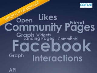 What is it all about? Likes Open Graph Friends Community Pages Widgets Landing Pages Comments Facebook Graph API Interactions 