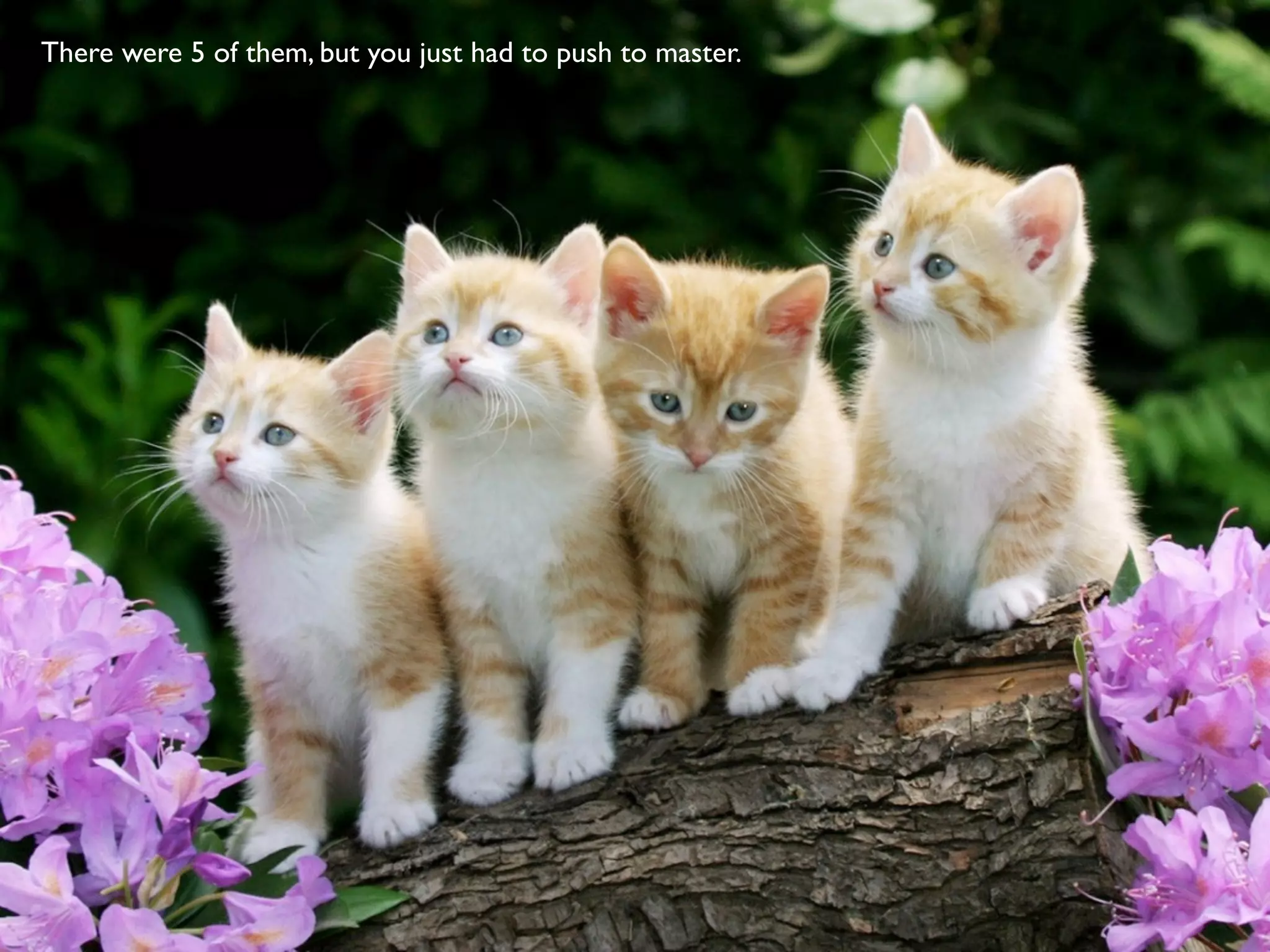 There were 5 of them, but you just had to push to master.
 