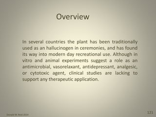 Donald W. Reid 2014
121
In several countries the plant has been traditionally
used as an hallucinogen in ceremonies, and has found
its way into modern day recreational use. Although in
vitro and animal experiments suggest a role as an
antimicrobial, vasorelaxant, antidepressant, analgesic,
or cytotoxic agent, clinical studies are lacking to
support any therapeutic application.
Overview
 