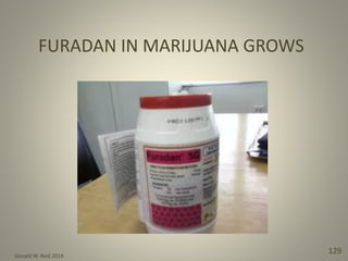 Donald W. Reid 2014
129
FURADAN IN MARIJUANA GROWS
 
