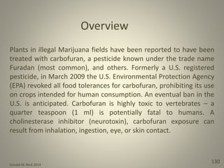 Donald W. Reid 2014
130
Plants in illegal Marijuana fields have been reported to have been
treated with carbofuran, a pesticide known under the trade name
Furadan (most common), and others. Formerly a U.S. registered
pesticide, in March 2009 the U.S. Environmental Protection Agency
(EPA) revoked all food tolerances for carbofuran, prohibiting its use
on crops intended for human consumption. An eventual ban in the
U.S. is anticipated. Carbofuran is highly toxic to vertebrates – a
quarter teaspoon (1 ml) is potentially fatal to humans. A
cholinesterase inhibitor (neurotoxin), carbofuran exposure can
result from inhalation, ingestion, eye, or skin contact.
Overview
 