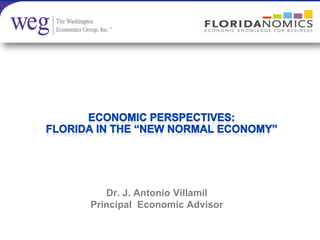 Dr. J. Antonio Villamil
Principal Economic Advisor
 