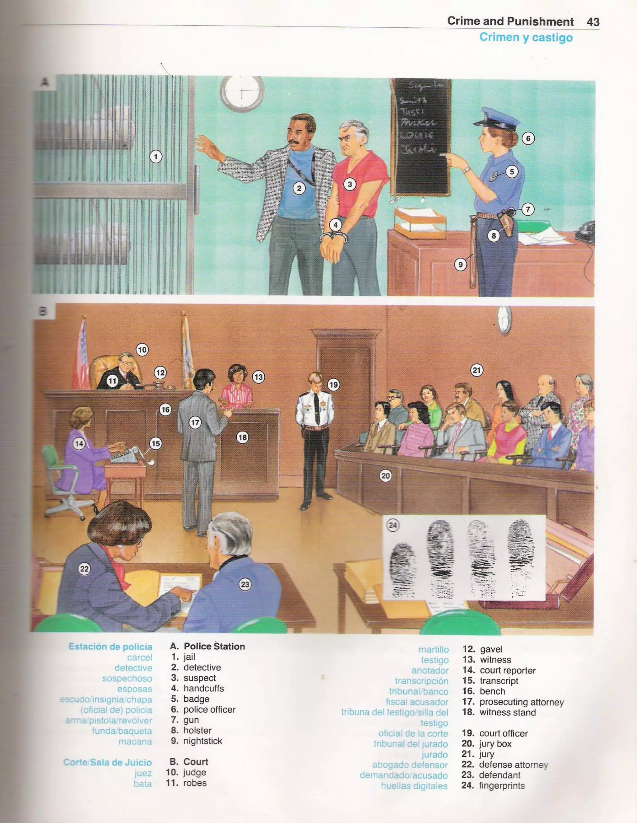 The new oxford picture dictionary en sp | PDF