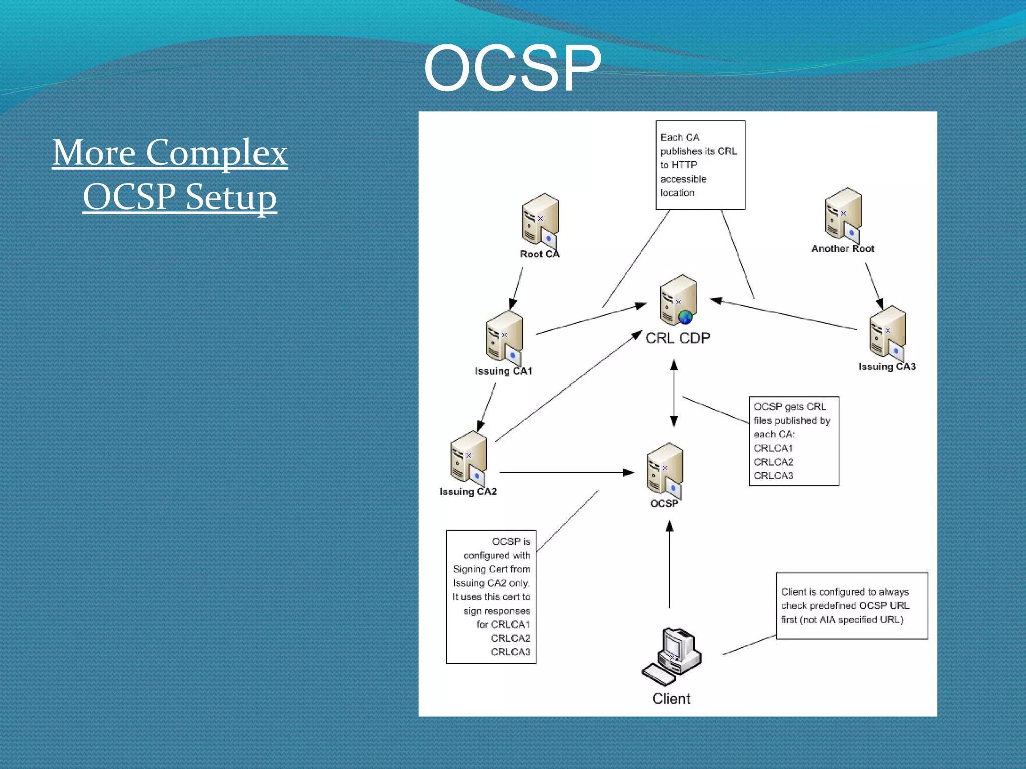 OCSP More Complex OCSP Setup 
