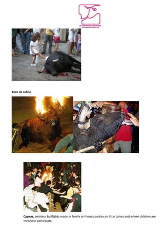 Toro de Jubilo
Capeas, amateur bullfights made in family or friends parties on little calves and where children are
invited to participate.
 