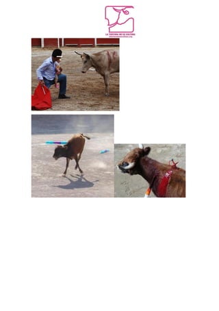 The New Strategy to Create a New Generation of Bullfighting Fans: The Bullfighting Foul Game