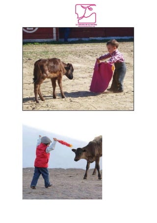 The New Strategy to Create a New Generation of Bullfighting Fans: The Bullfighting Foul Game