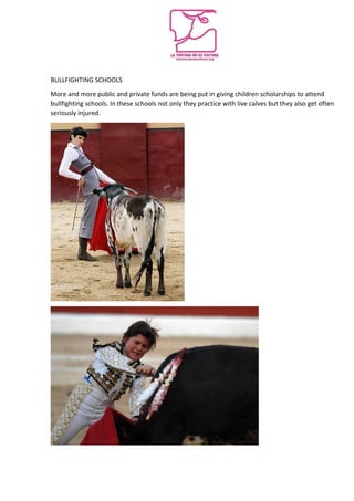 BULLFIGHTING SCHOOLS
More and more public and private funds are being put in giving children scholarships to attend
bullfighting schools. In these schools not only they practice with live calves but they also get often
seriously injured.
 