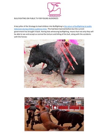 BULLFIGHTING ON PUBLIC TV FOR YOUNG AUDIENCES
A key pillar of the Strategy to lead children into Bullfighting is the return of bullfighting to public
television during children audience time. This had been banned before but the current
government has brought it back. Having kids witnessing bullfighting, means that not only they will
be able to see and accept as normal the torture and killing of the bull, along with the accidents
with the horses:
 