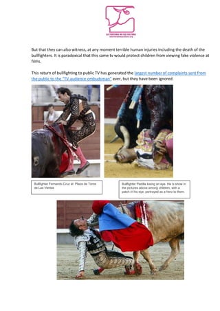 But that they can also witness, at any moment terrible human injuries including the death of the
bullfighters. It is paradoxical that this same tv would protect children from viewing fake violence at
films.
This return of bullfighting to public TV has generated the largest number of complaints sent from
the public to the “TV audience ombudsman” ever, but they have been ignored.
Bullfighter Fernando Cruz at Plaza de Toros
de Las Ventas
Bullfighter Padilla losing an eye. He is show in
the pictures above among children, with a
patch in his eye, portrayed as a hero to them.
 