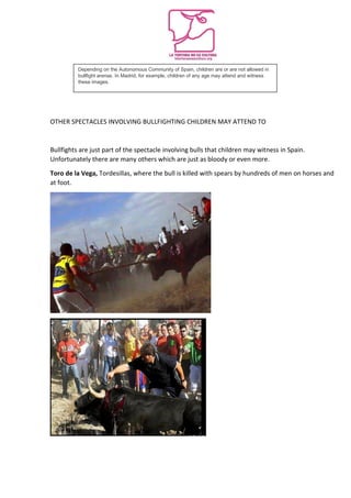 OTHER SPECTACLES INVOLVING BULLFIGHTING CHILDREN MAY ATTEND TO
Bullfights are just part of the spectacle involving bulls that children may witness in Spain.
Unfortunately there are many others which are just as bloody or even more.
Toro de la Vega, Tordesillas, where the bull is killed with spears by hundreds of men on horses and
at foot.
Depending on the Autonomous Community of Spain, children are or are not allowed in
bullfight arenas. In Madrid, for example, children of any age may attend and witness
these images.
 