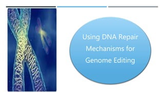 The next generation of crispr–cas technologies and Applications | PPTX