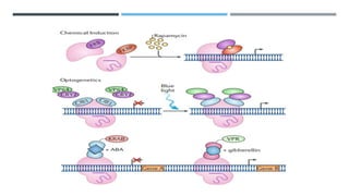 The next generation of crispr–cas technologies and Applications | PPTX