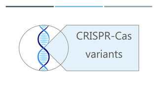 The next generation of crispr–cas technologies and Applications | PPTX