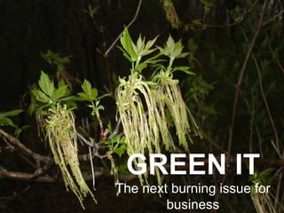 THE NEXT WAVE OF GREEN IT   GREEN IT The next burning issue for business 