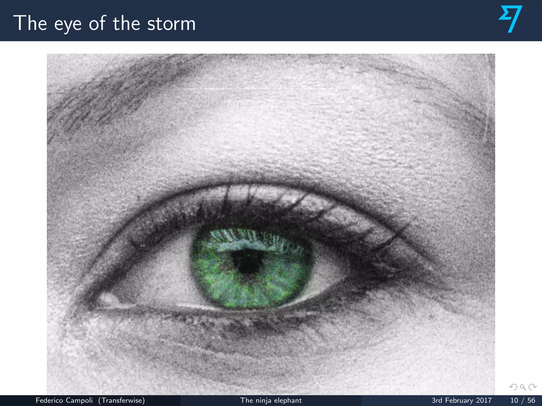 The eye of the storm
Federico Campoli (Transferwise) The ninja elephant 3rd February 2017 10 / 56
 