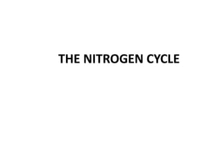 THE NITROGEN CYCLE
 