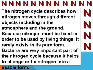 The nitrogen cycle describes how
nitrogen moves through different
objects including in the
atmosphere and the ground.
Because nitrogen must be fixed in
order to be used by living things, it
rarely exists in its pure form.
Bacteria are very important part of
the nitrogen cycle because it helps
to change or fix nitrogen into a
usable form.
 