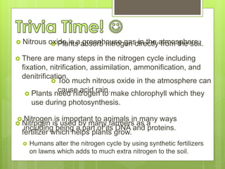  Plants absorb nitrogen directly from the soil.
 There are many steps in the nitrogen cycle including
fixation, nitrification, assimilation, ammonification, and
denitrification.
 Plants need nitrogen to make chlorophyll which they
use during photosynthesis.
 Nitrogen is important to animals in many ways
including being a part of its DNA and proteins.
 Humans alter the nitrogen cycle by using synthetic fertilizers
on lawns which adds to much extra nitrogen to the soil.
 Nitrous oxide is a greenhouse gas in the atmosphere.
 Too much nitrous oxide in the atmosphere can
cause acid rain.
 Nitrogen is used by many farmers as a
fertilizer which helps plants grow.
 