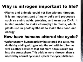 Plants and animals could not live without nitrogen.
It is an important part of many cells and processes
such as amino acids, proteins, and even our DNA. It
is also needed to make chlorophyll in plants, which
plants use in photosynthesis to make their food and
energy.
Unfortunately, human activity has altered the cycle. We
do this by adding nitrogen into the soil with fertilizer as
well as other activities that put more nitrous oxide gas
into the atmosphere. This adds in more nitrogen than is
needed by normal cycle and upsets the cycle's balance.
 