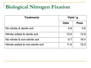 Biological Nitrogen Fixation
Treatments Yield / g
Oats Peas
No nitrate & sterile soil 0.6 0.8
Nitrate added & sterile soil 12.0 12.9
No nitrate & non-sterile soil 0.7 16.4
Nitrate added & non-sterile soil 11.6 15.3
 