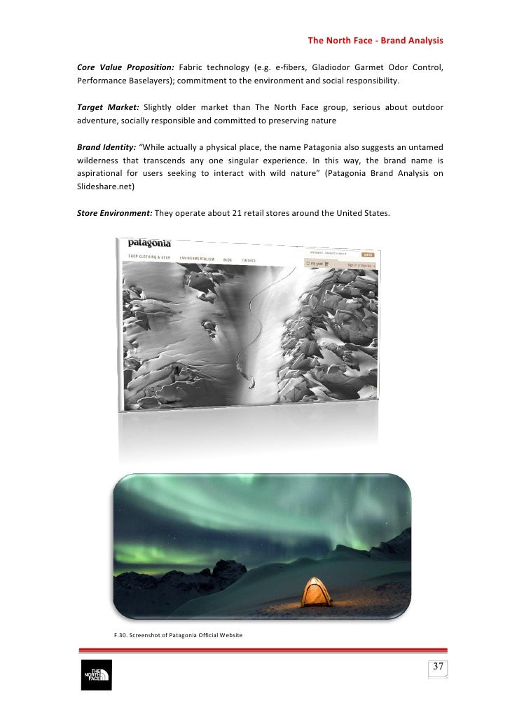 the north face brands