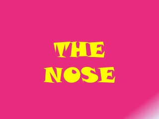 THE
NOSE

 
