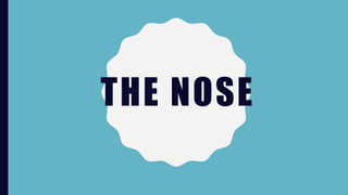 THE NOSE
 