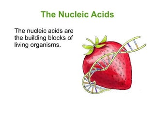The Nucleic Acids
The nucleic acids are
the building blocks of
living organisms.

 